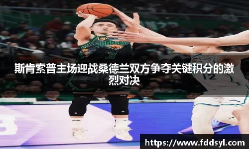 333体育