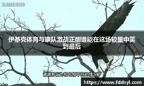 333体育