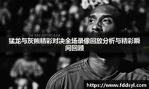 333体育官网